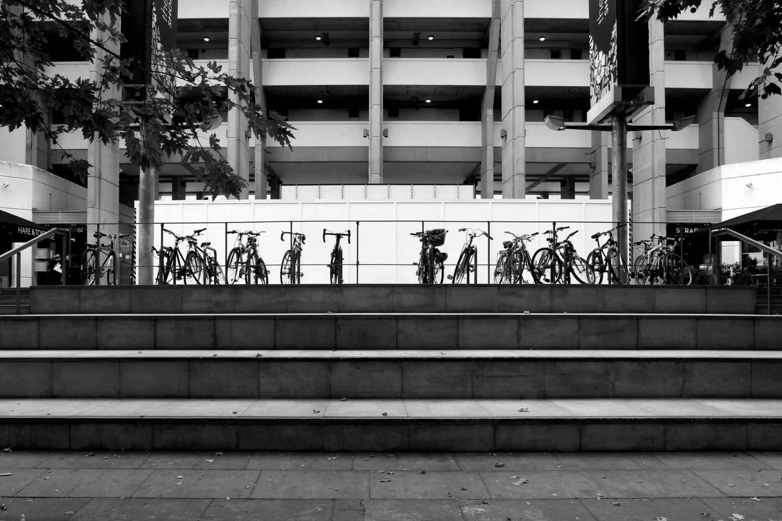 Curzon Bloomsbury_2 Curzon Bloomsbury_2