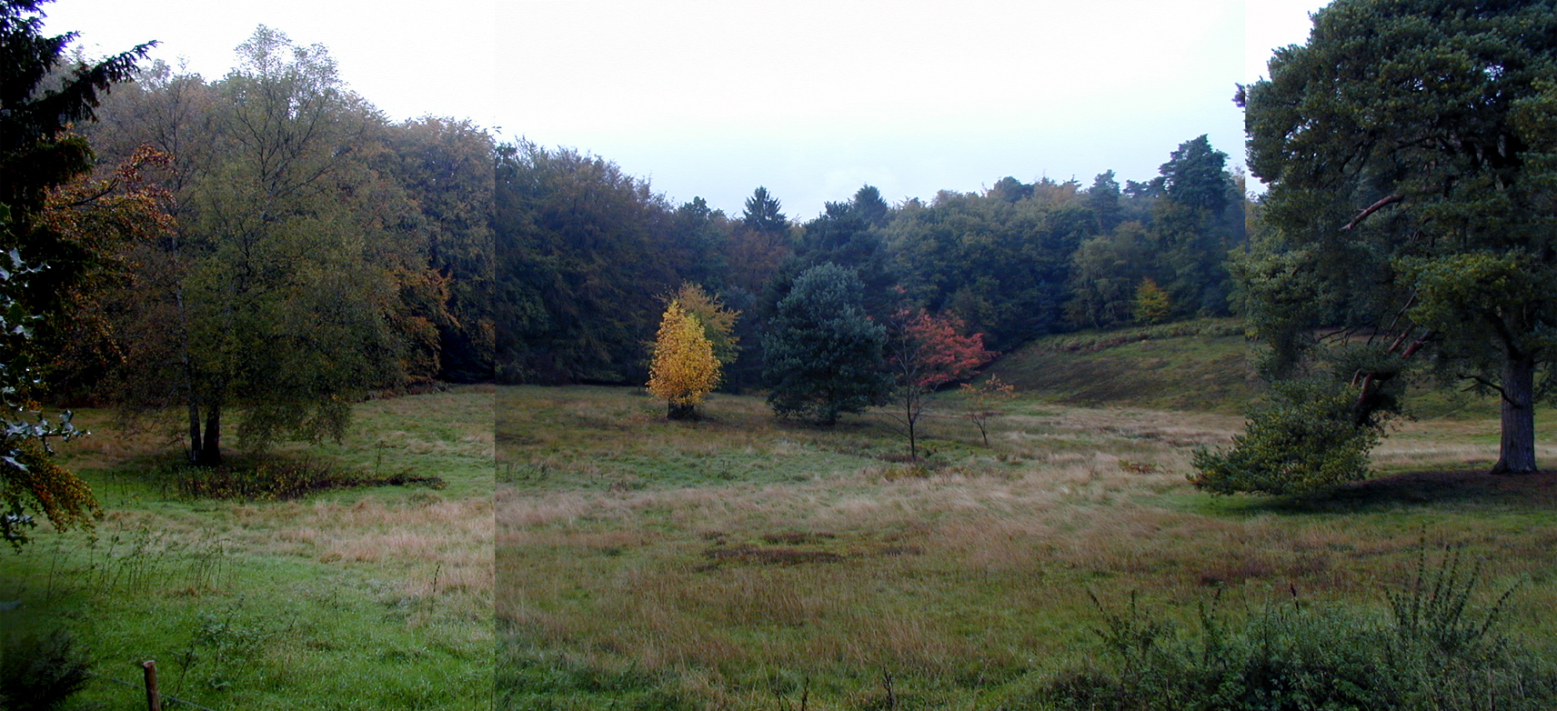 OSh House site 4