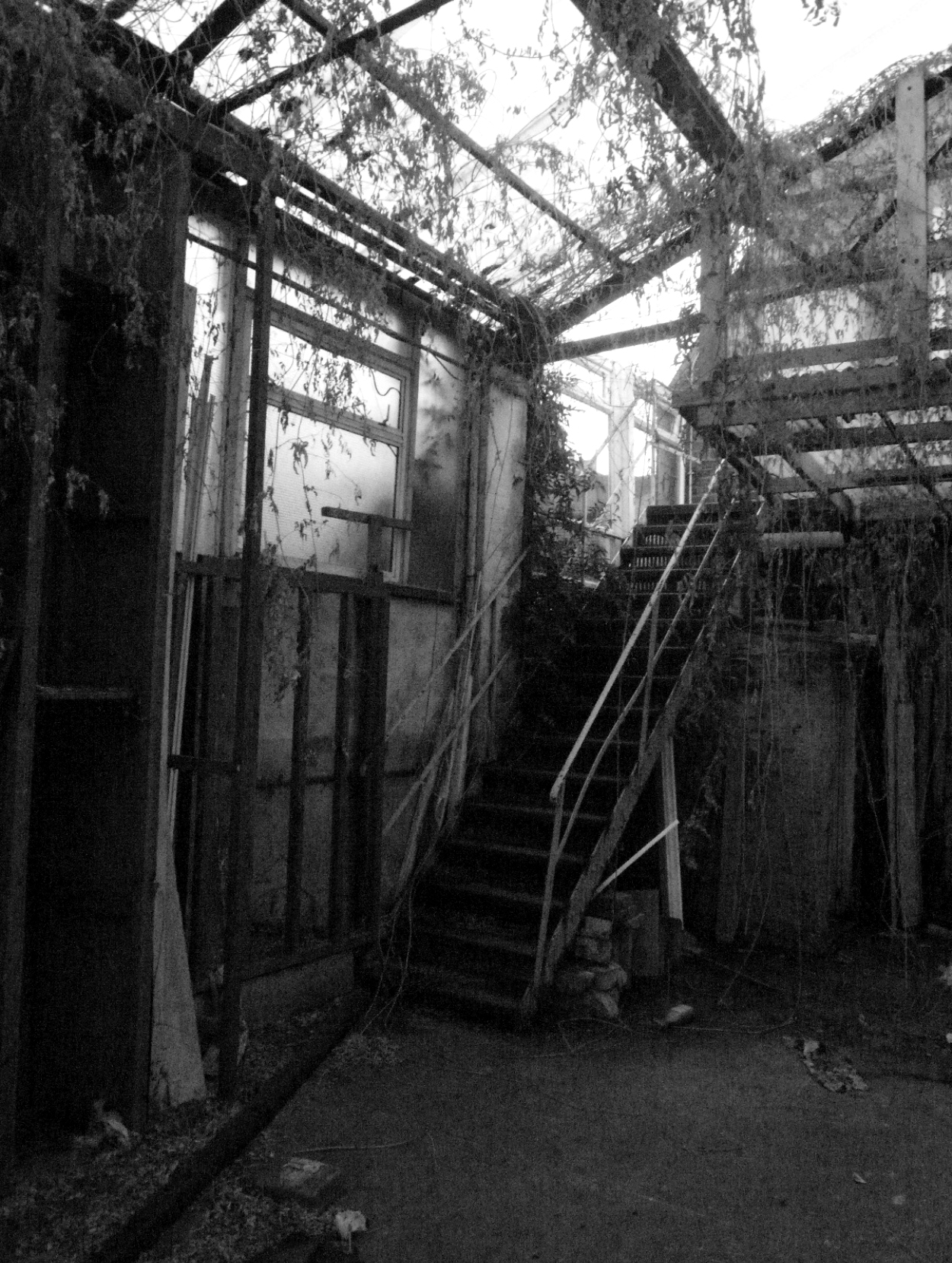 ED_HOUSE_photo_t-sa ED_HOUSE_photo_t-sa