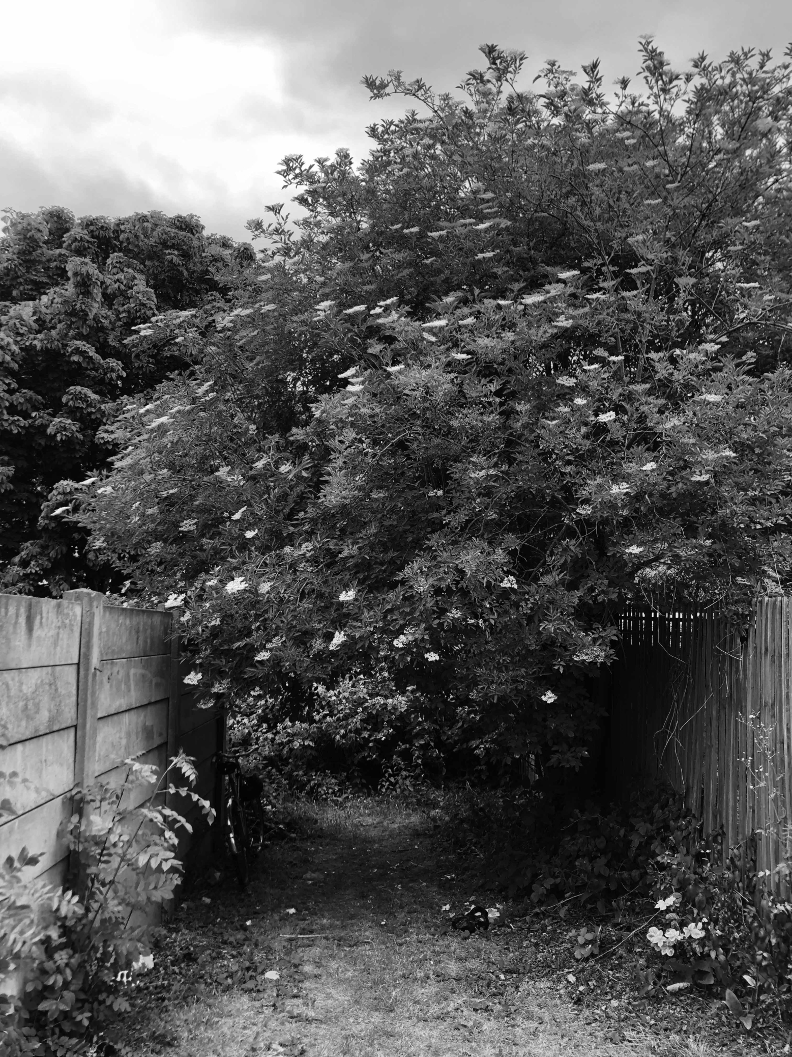 t-sa_Niwa House_Existing 01_bw_lr t-sa_Niwa House_Existing 01_bw_lr