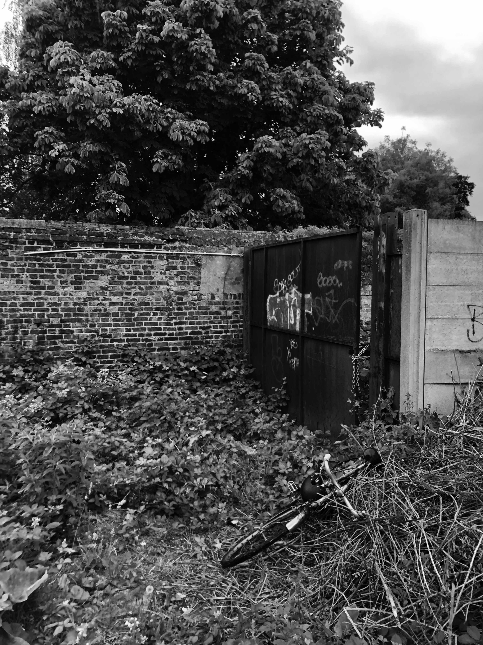 t-sa_Niwa House_Existing 02_bw_lr t-sa_Niwa House_Existing 02_bw_lr