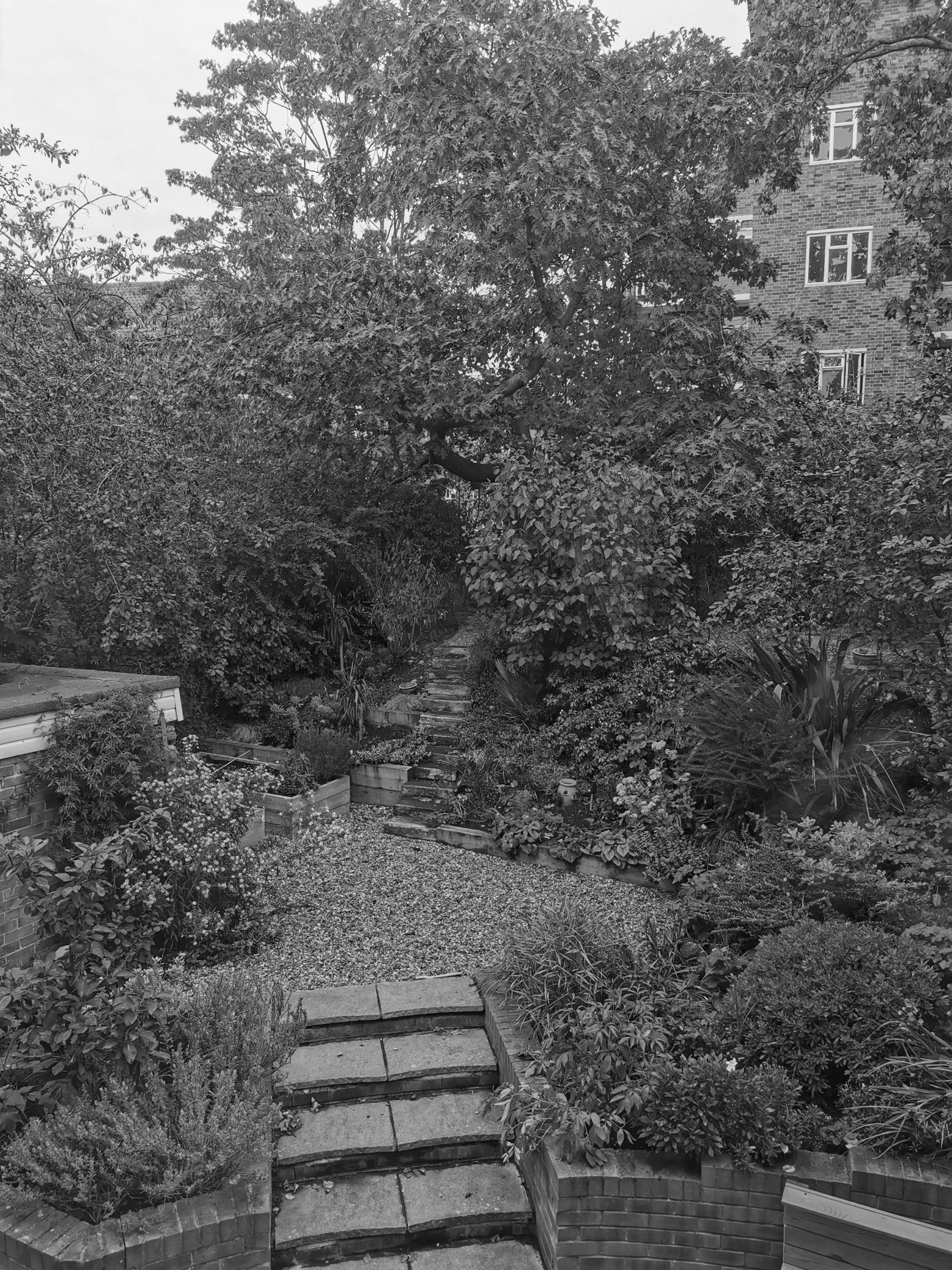 t-sa_RouseGardenExisting04_BW_LR